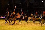 Cavalry - 00005